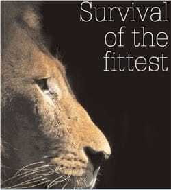 Survival of the Fittest